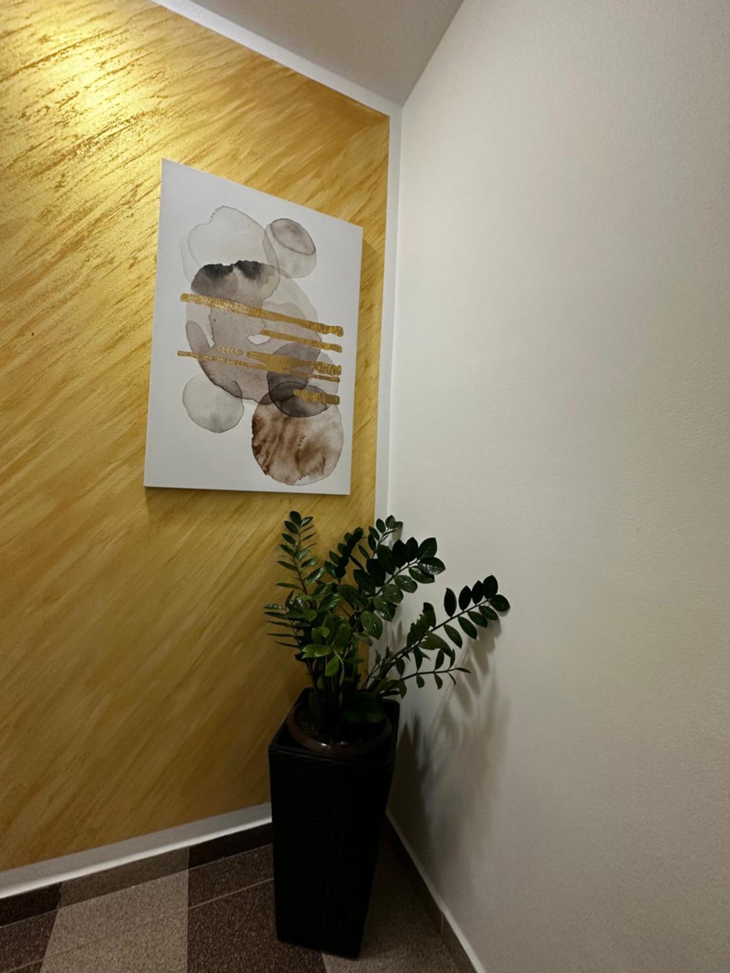 Apartmani Lotus 브르드니크 외부 사진